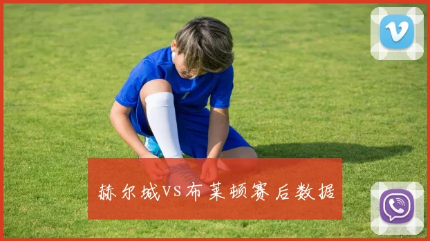 赫尔城vs布莱顿赛后数据