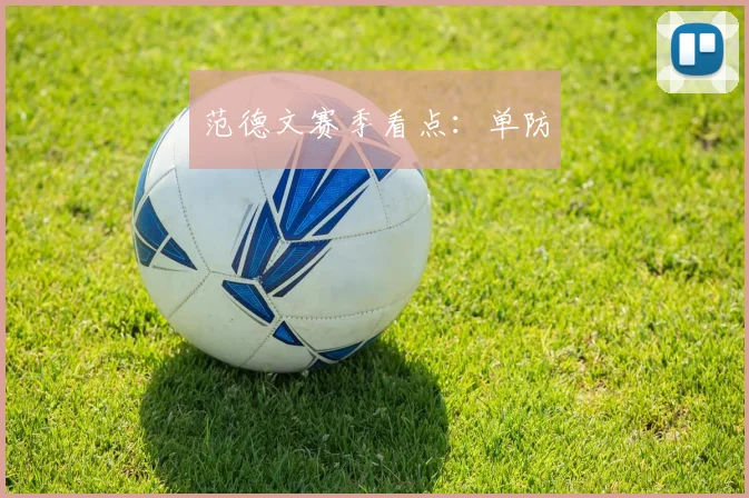 范德文赛季看点：单防